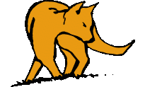 [fox image]